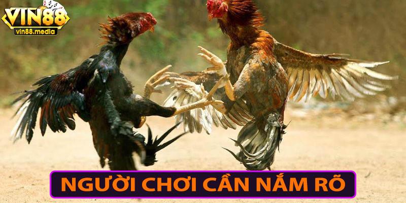 Các quy định về đá gà mà bạn cần tham khảo